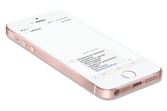 CGS SMS, Les avantages de la notification par SMS 